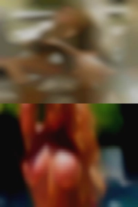 vergilveach, Tampa, Florida